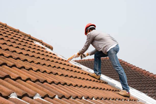 Best Wood Shake Roofing  in The Homesteads, TX