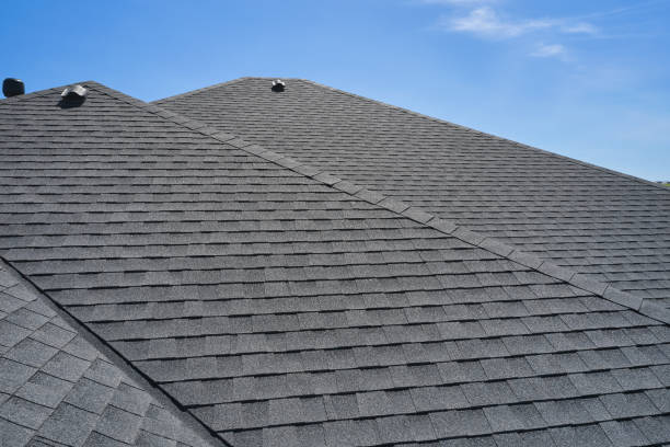 Best Roof Insulation Installation  in The Homesteads, TX